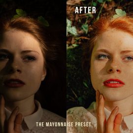 Melior Studio – The Sauces Lightroom Preset Pack Free Download