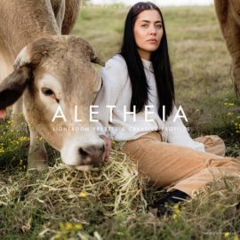 Archipelago – Aletheia Presets Free Download