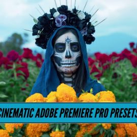 5 BMPCC Presets for Adobe Premiere Pro 89356907 Free Download