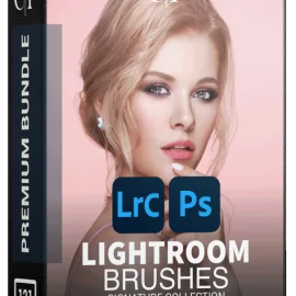 Signature Lightroom Brushes – Clever Photographer Free Download