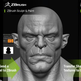 ZBrush Face Tools (v1.01 Character Creator 4) Free Download