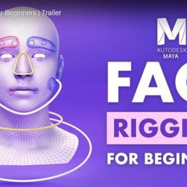 FlippedNormals – Face Rigging for Beginners Free Download