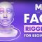 FlippedNormals – Face Rigging for Beginners Free Download