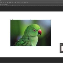 Udemy – Adobe Photoshop CC Complete Mastery Course Basic to Advanced Free Download