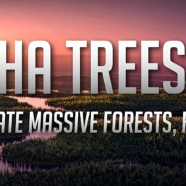 Alpha Trees – Render Massive Forests, Fast v2.3.3 for Blender Free Download