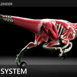 X-Muscle System 4.0 v3.9.79 for Blender Free Download