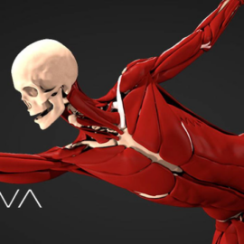 Ziva Dynamics 2.1 for Maya 2019-2023 Free Download