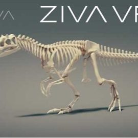 Ziva Dynamics 2.1 for Maya 2019-2023 Win x64 Free Download