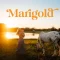 Awandering Tribe – Marigold Collection Download