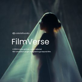 FilmVerse Full Plugin Download