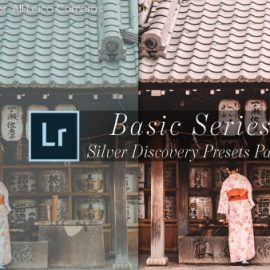 Leica-Review BASIC SILVER DISCOVERY LIGHTROOM PRESETS Download