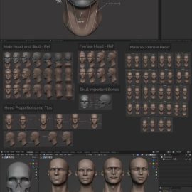 Master Sculpting Heads – 3D Blender Course – New Update! (V1.4) Free Download