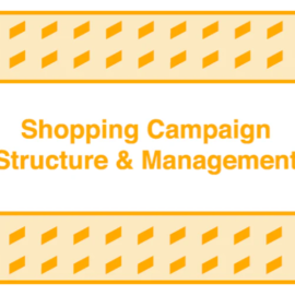 Take Some Risk – Shopping Campaign Structure and Management Free Download