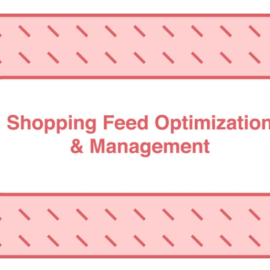 Take Some Risk – Shopping Feed Optimization and Management Free Download