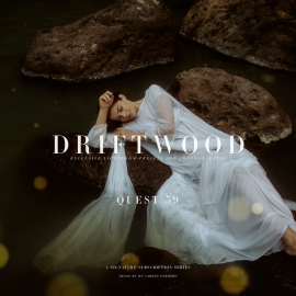 ARCHIPELAGO QUEST 39 – DRIFTWOOD Download