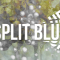 Aescripts Split Blur v1.3.2 Free Download