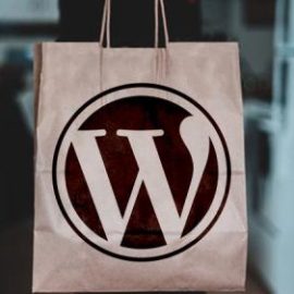 Udemy – Build eCommerce websites with WordPress & WooCommerce Free Download