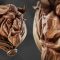 Udemy – The Beast – ZBrush Sculpture: Creating Magical Characters Free Download