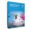 Adobe Photoshop Elements 2025 Win x64 Free Download