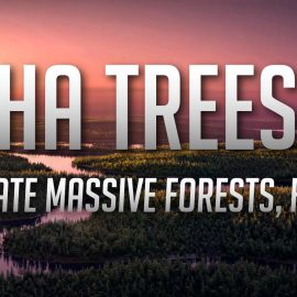 Alpha Trees Pro 2.3.6 for Blender Free Download