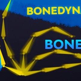 Bone Dynamics Pro 1.5.3 for Blender Free Download