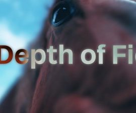 AI Depth of Field V1.0.2 Free Download