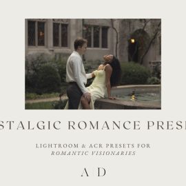 Anissa D – Nostalgic Romance Presets Free Download