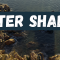 Water Shader 1.2.2 Free Download