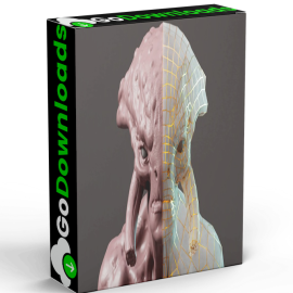 Abe Leal 3D – Complete Guide to Retopology Free Download