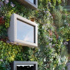 Globe Plants – Bundle 47 – Vertical Garden Free Download