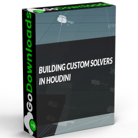 Gumroad – Building Custom Solvers in Houdini Free Download