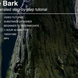 Gumroad – Tree Bark Creation – Substance Designer Tutorial Free Download