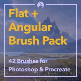 Flat+Angular Brush Pack: 42 Stylized Brushes for Photoshop & Procreate + Demo Videos