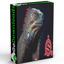 Gumroad – Organic Real Time Texturing in Substance Painter Full Course Iguana Free Download