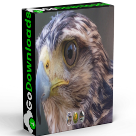 Topaz Photo AI v3.4.4 Win x64 Free Download