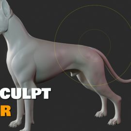 Blender Market – Speedsculpt v0.2.9 Free Download